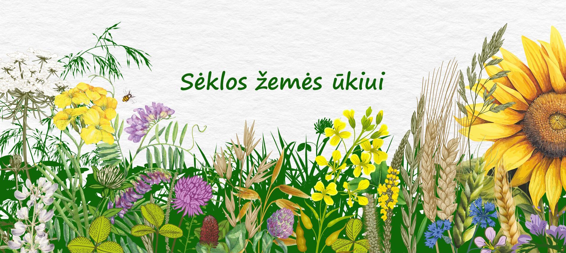 Sėklos žemės ūkiui